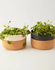 Ceramic Gift Set | Mug and Bowl in Cream