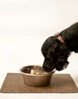 Dash Rectangle Pet Feeding Mat