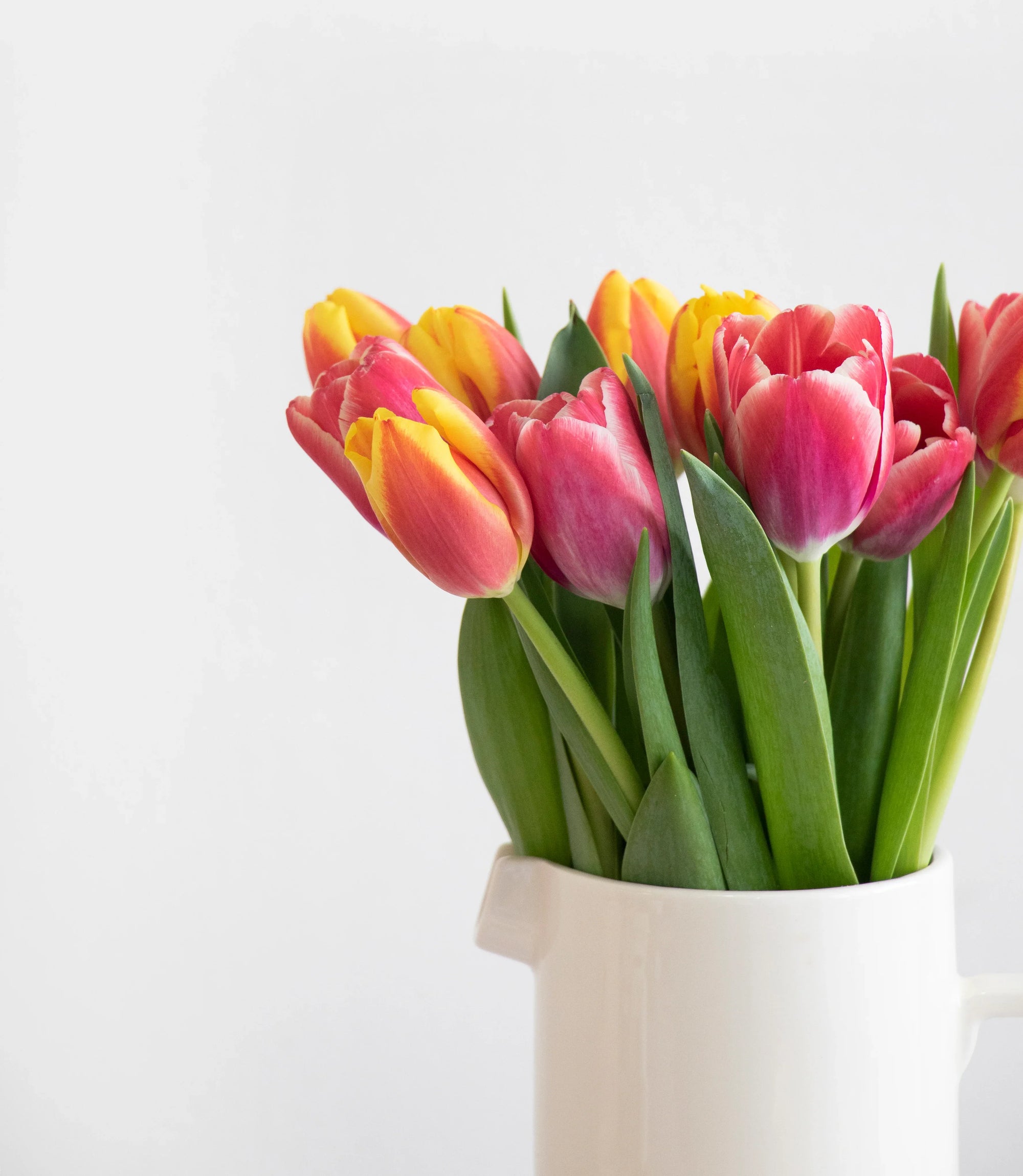 Getting ready for Spring