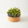 Ceramic and Cork Bowl - Black