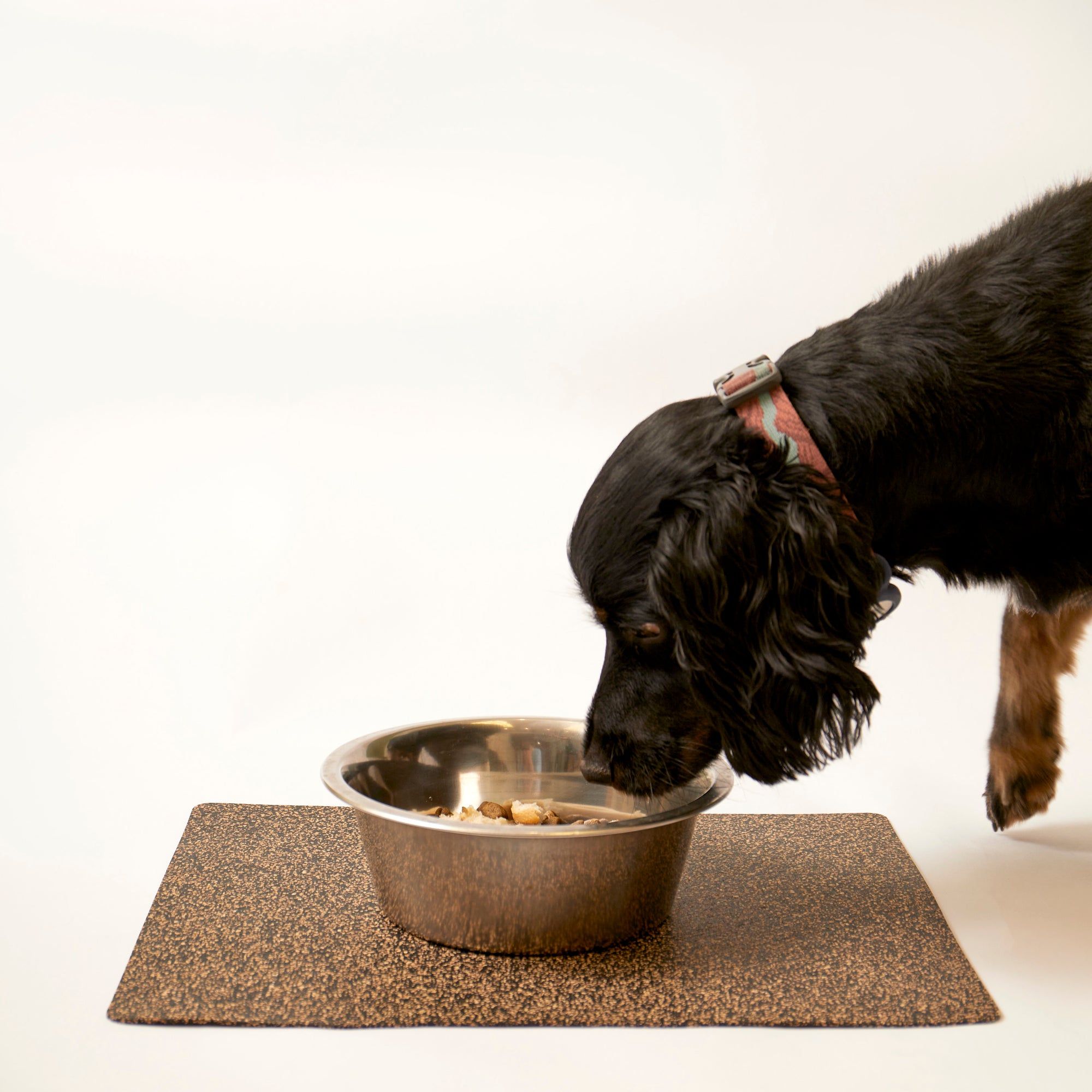 Dash Rectangle Pet Feeding Mat